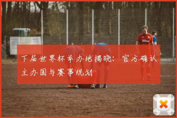 下届世界杯举办地揭晓：官方确认主办国与赛事规划
